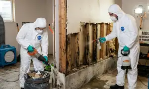 Mold remediation services in Elizabeth, NJ for water damage restoration customers